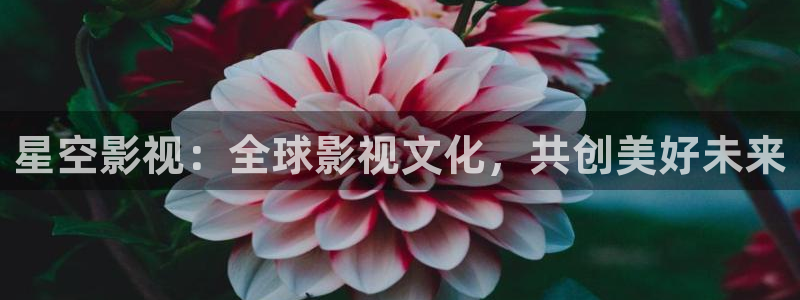 五五影视大全免费观看
