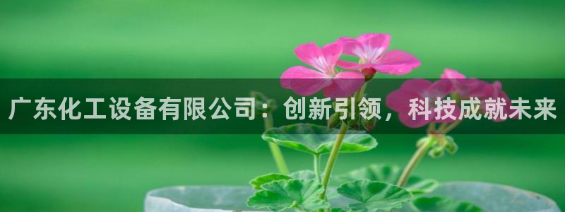 门徒平台虎 411O31 门徒