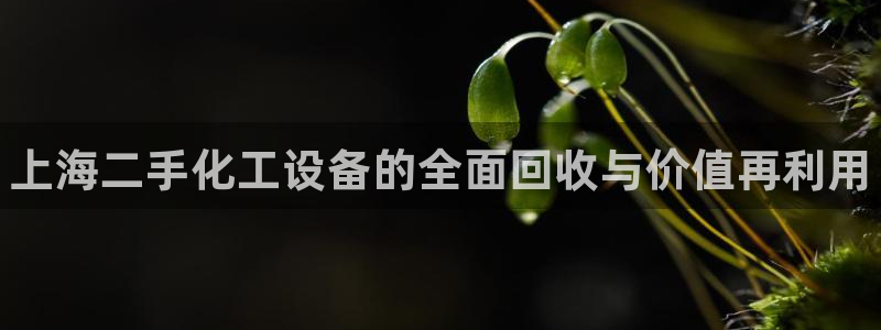 门徒平台云 411o31 门徒