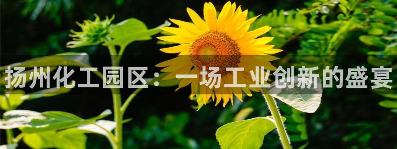 门徒平台注册中心